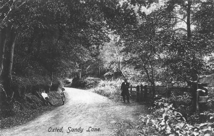 Sandy Lane - 1906