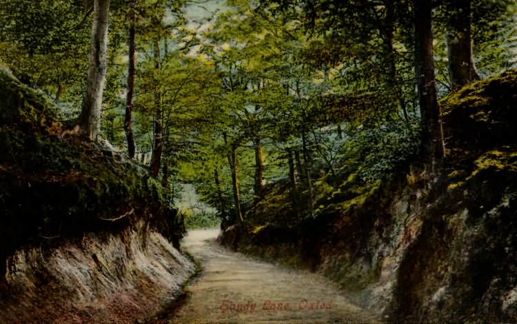 Sandy Lane - 1905