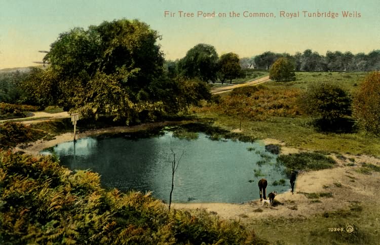 Fir Tree Pond, The Common - 1920
