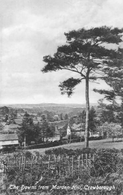 The Downs from Mardens Hill - 1910