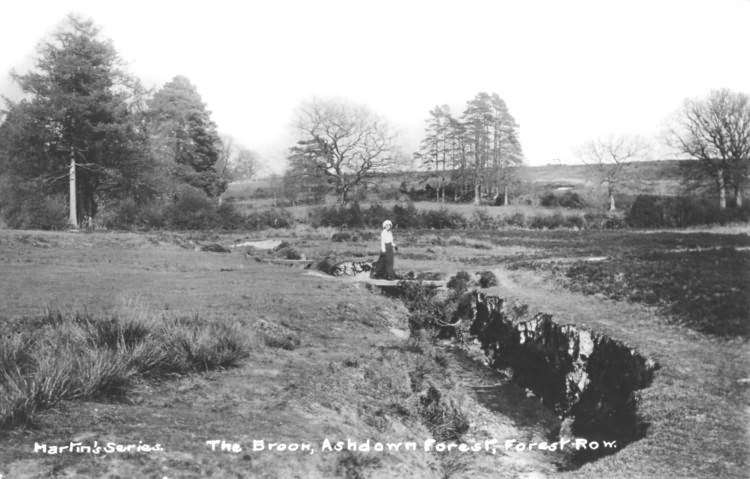 The Brook, Ashdown Forest - 1915