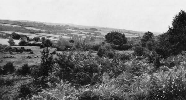 View from Fords Green - 1924