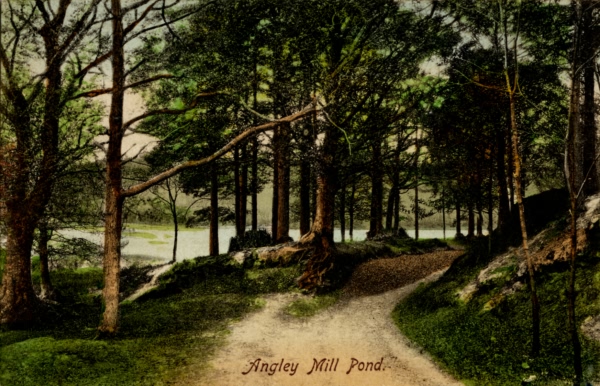 Angley Mill Pond - 1910