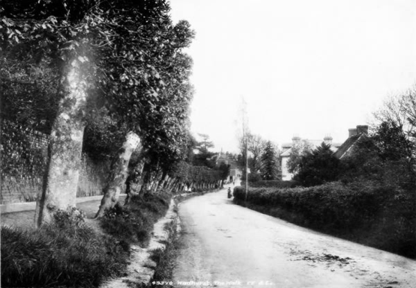 The Walk - 1903