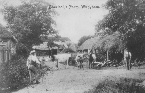 Sherlocks Farm - c 1910