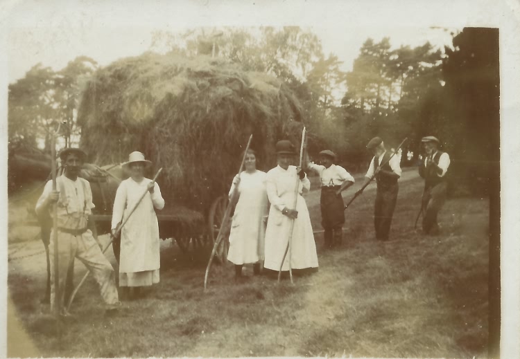 William Puxty (right) haymaking - c 1910