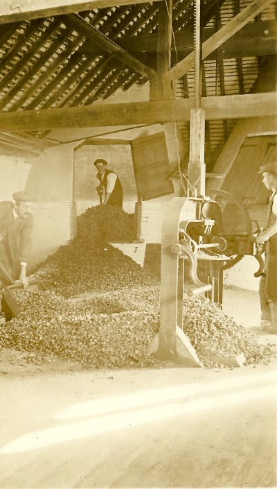 Filling hop pockets, Three Chimneys - c 1931