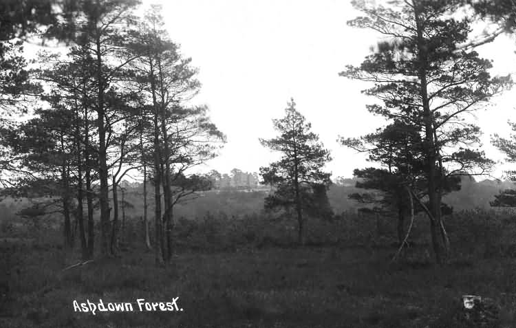 Ashdown Forest - 1913