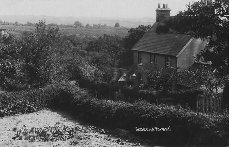 Ashdown Forest - 1915