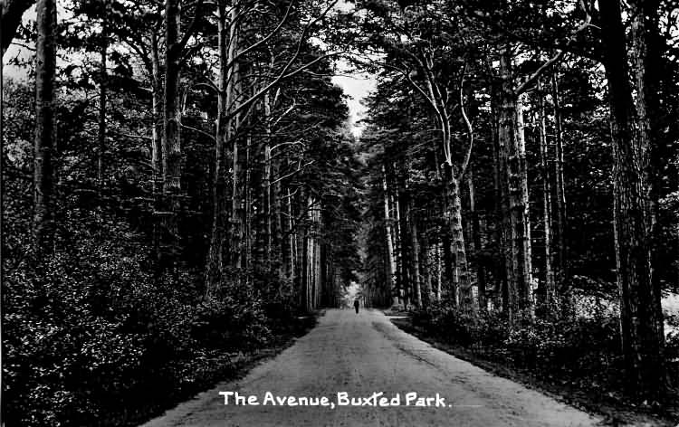 The Avenue, Buxted Park - 1914