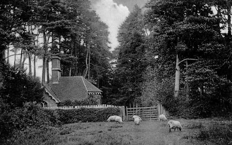 Entrance to the 500 Acre Wood - 1919