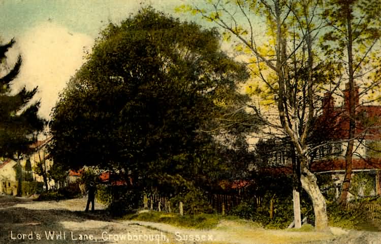 Lords Well Lane - 1910