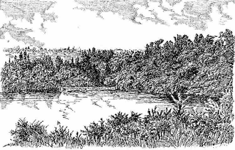 Mill Pond, The Warren - 1890