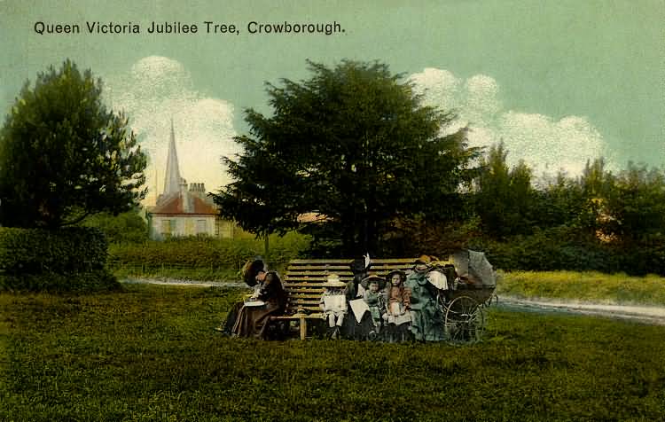 Queen Victoria Jubilee Tree, Chapel Green - 1913