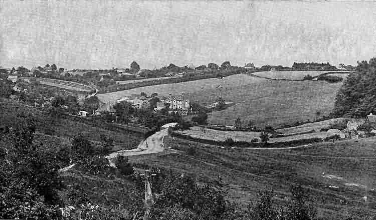 Danehill - 1904