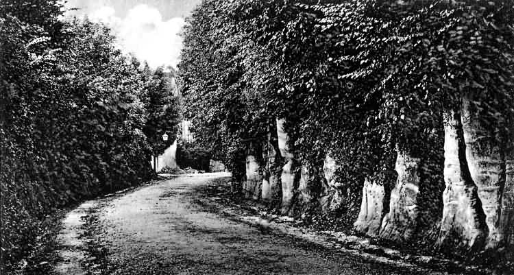 Hermitage Lane - 1906