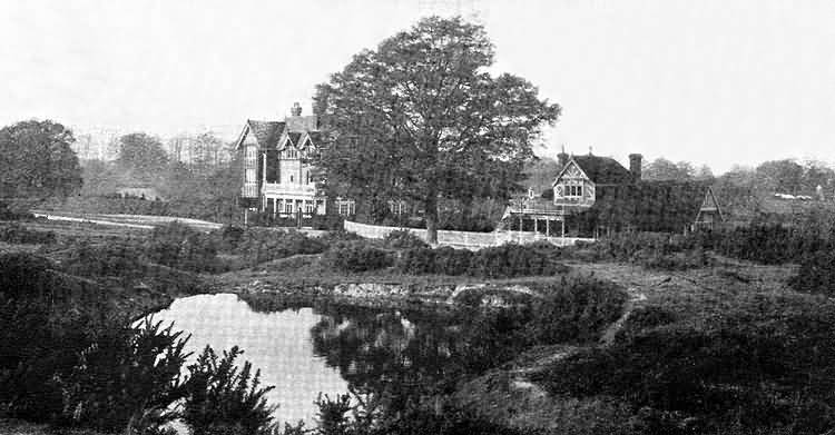 Ashdown Forest Ladies Golf Club - 1906