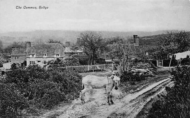 Holtye Common - c 1910