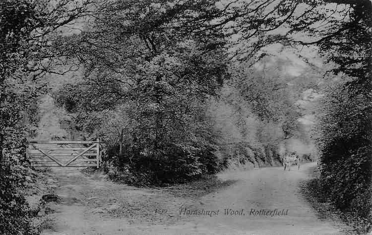 Hornhurst Wood - 1908