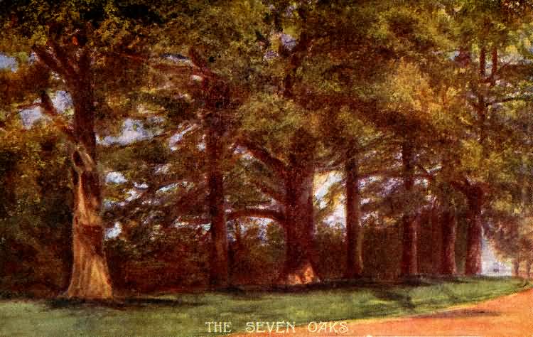 The Seven Oaks - 1905