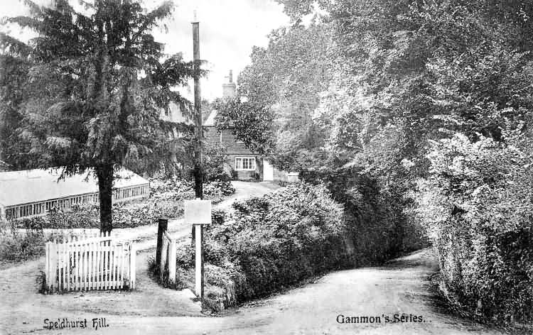 Speldhurst Hill - 1905
