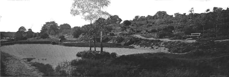 Lake on the Common - 1900