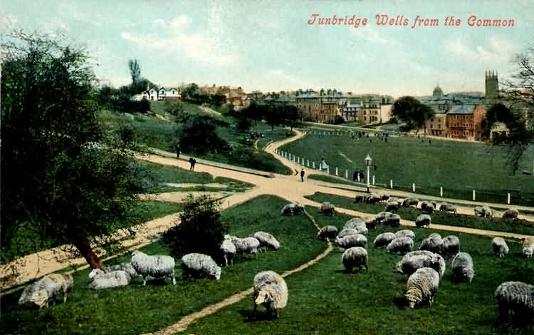 Tunbridge Wells from the Common - 1909