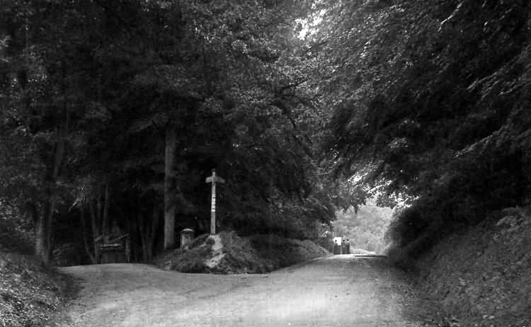 The Hollies, near Friars Gate - 1915
