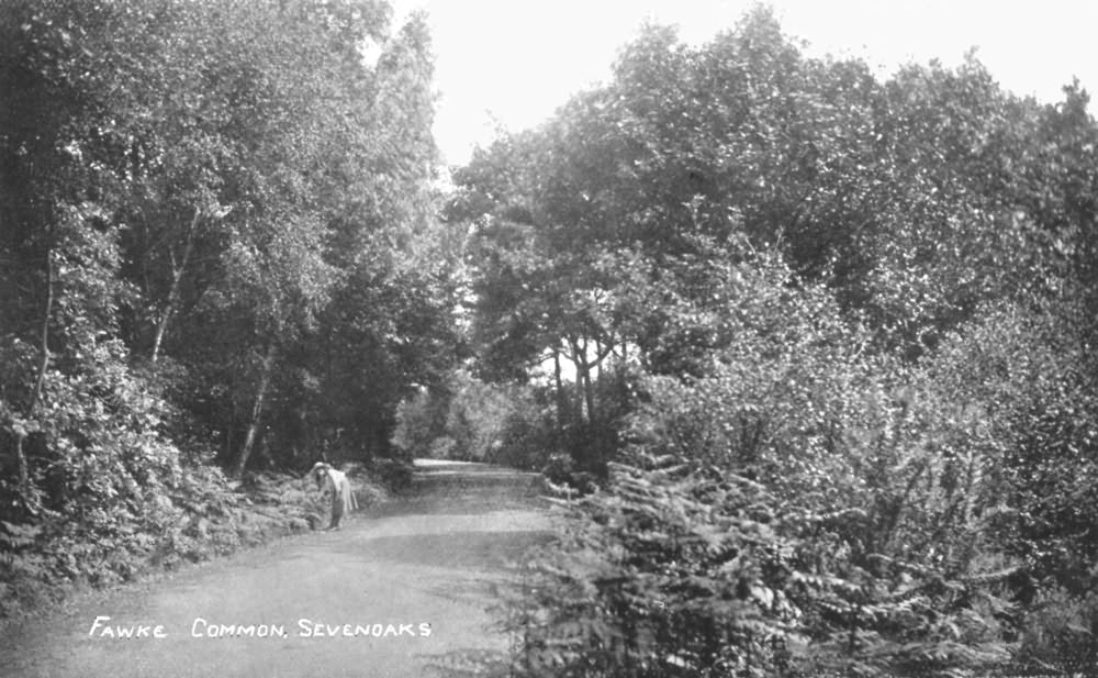 Fawke Common - 1900