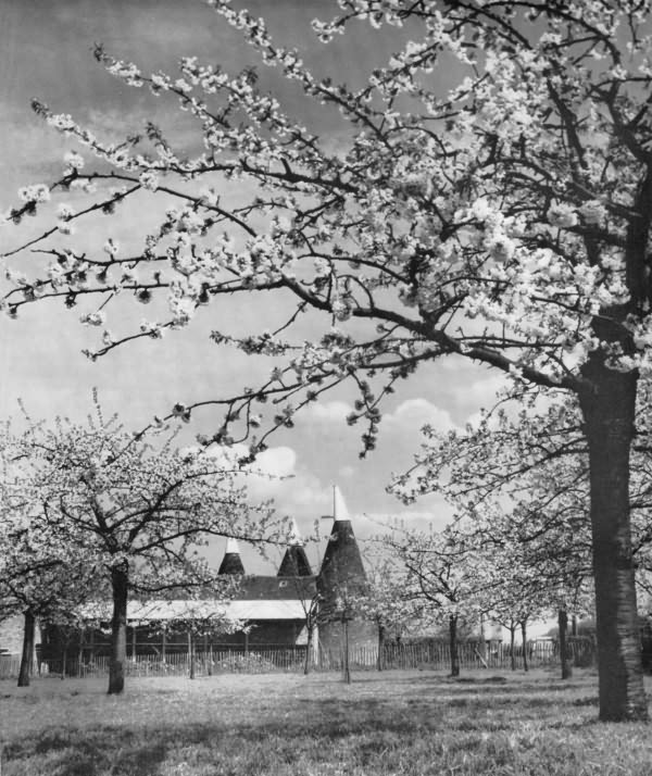 Offham, near Wrotham - 1962