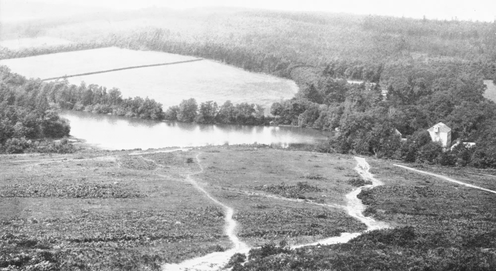 St Johns Common - 1906