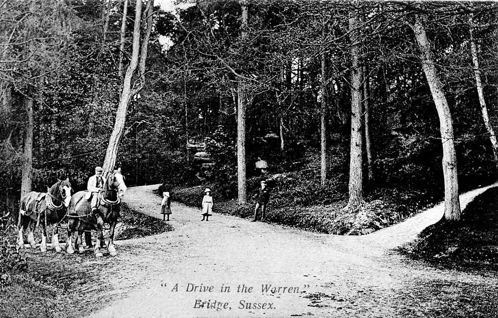 A Drive in the Warren - 1906