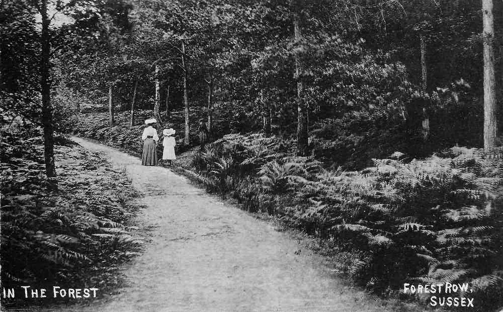 In the forest at Forest Row - 1908