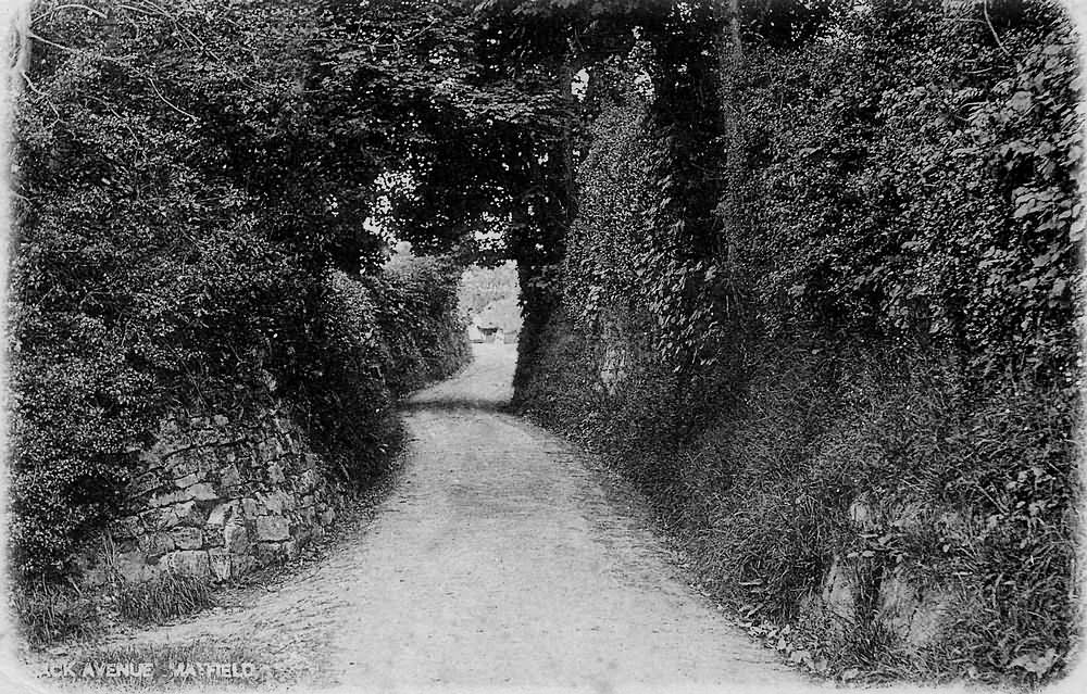 Back Avenue - 1903