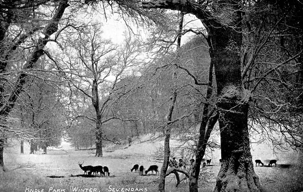 Knole Park in winter - 1905