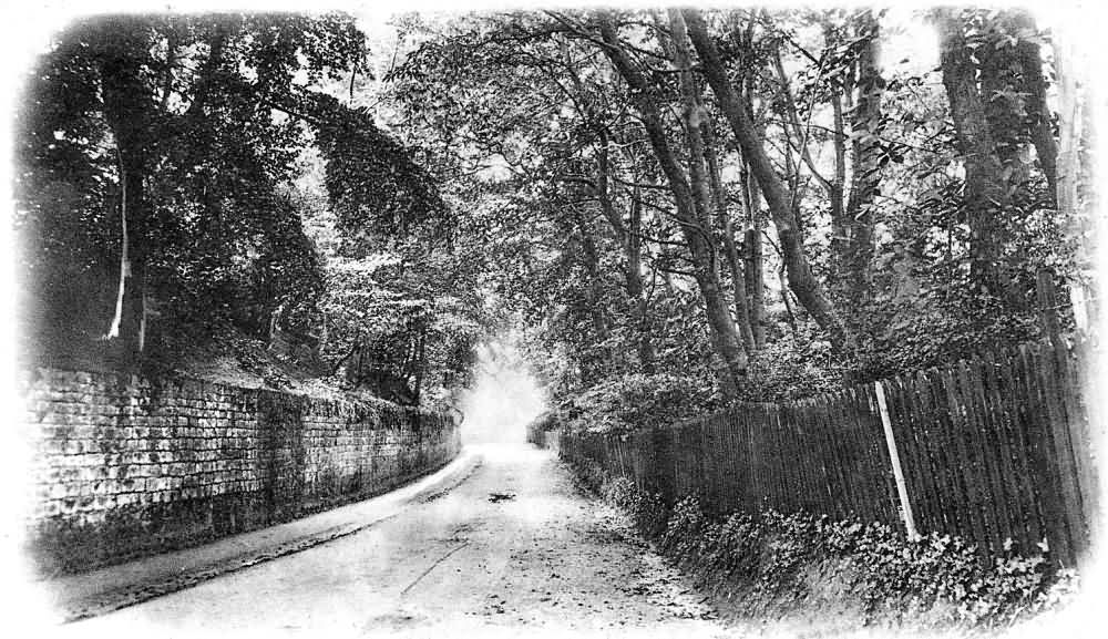 Seal Hollow Lane - 1903