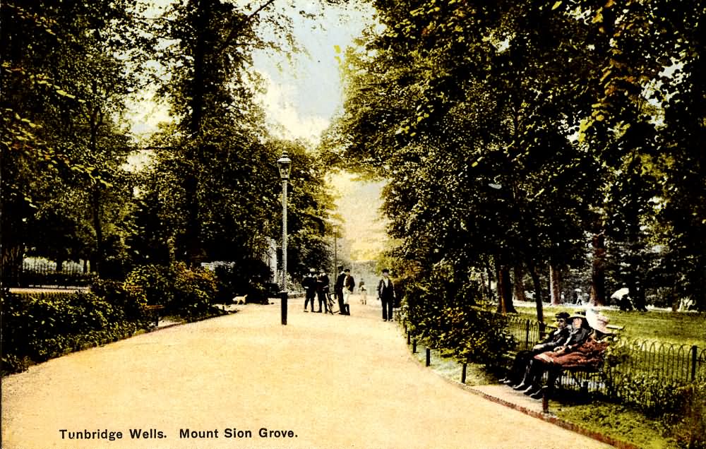 Mount Sion Grove - 1910