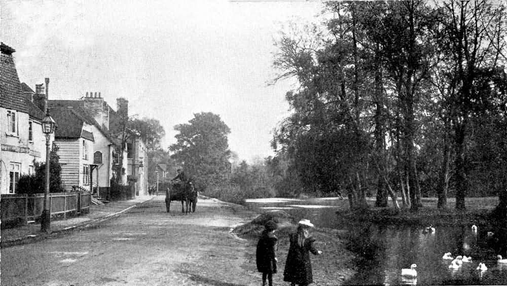 The Long Pond - 1904