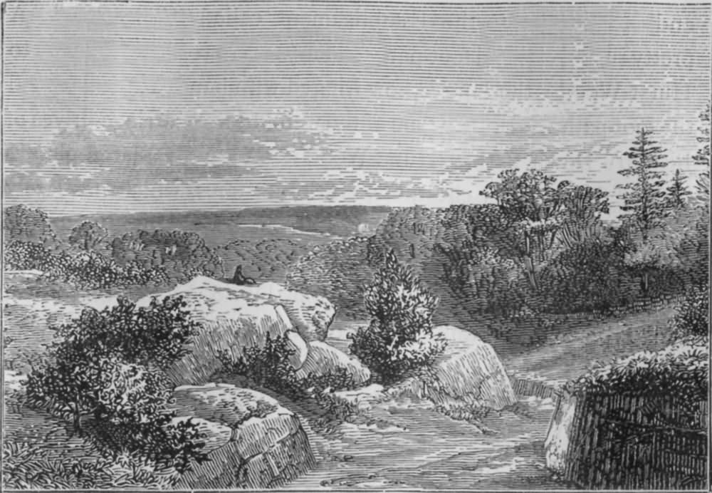 View on Rusthall Common - 1830