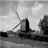 Nutley Windmill in Summer